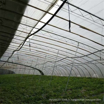 Système d&#39;irrigation par aspersion de légumes agricoles